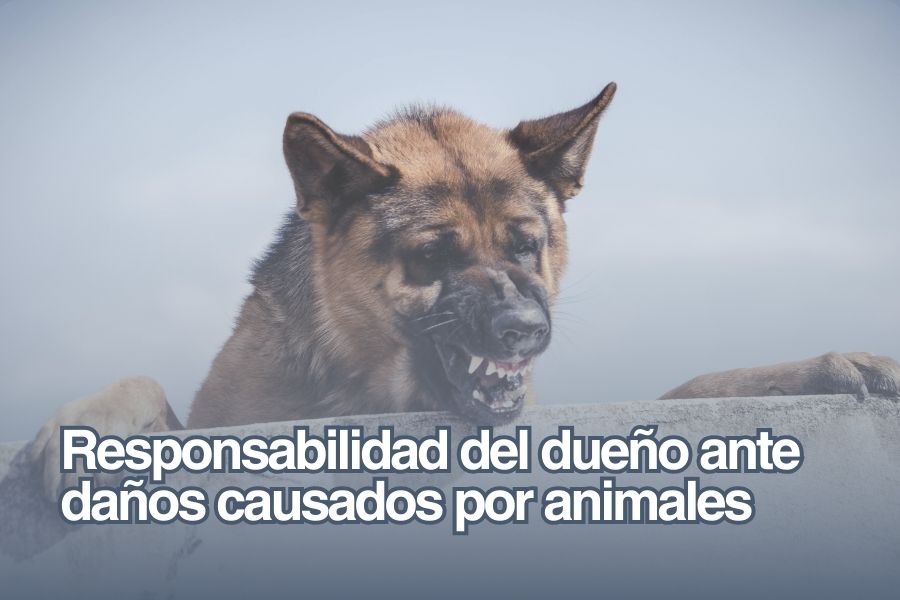 Daños causados por mascotas: derechos y obligaciones del dueño